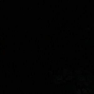 Meet your Posher, Barianne